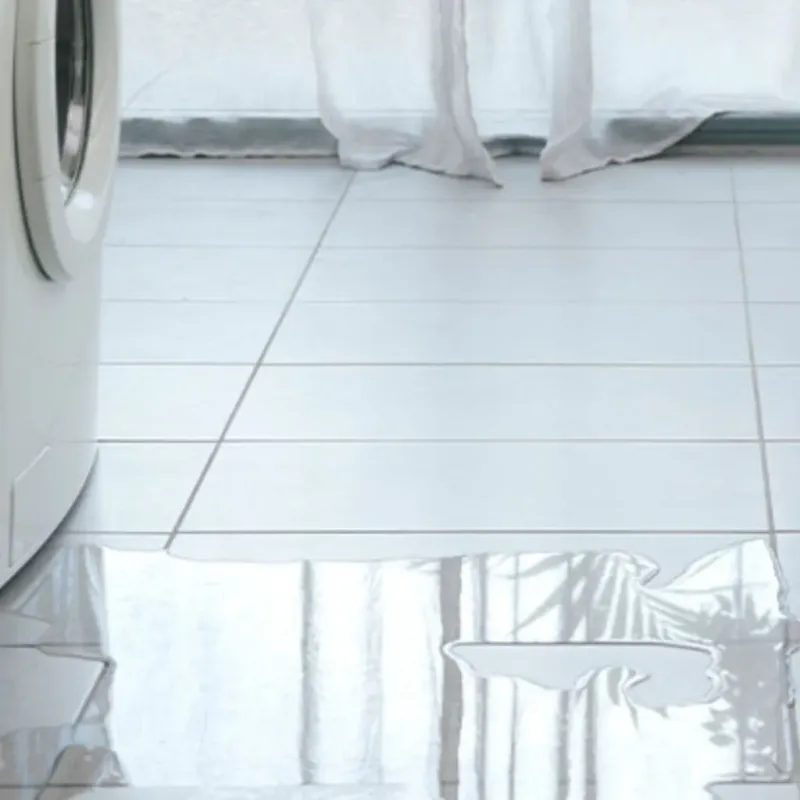 Appliance Leak Cleanup in Webb City, MO