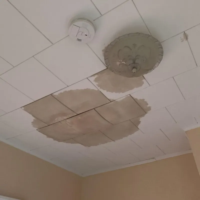 Ceiling Water Damage Repair in Webb City, MO