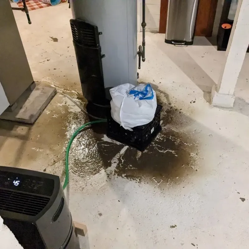 Sewage Backup Cleanup Service in Webb City, MO